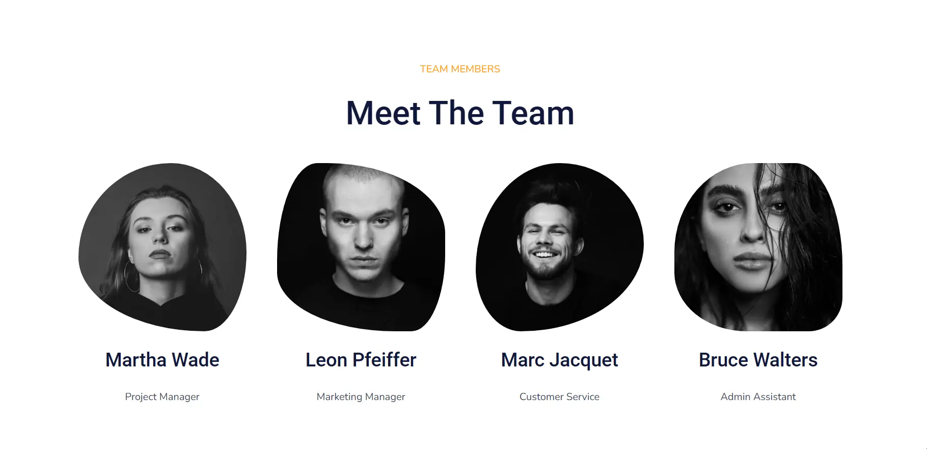 Meet the team